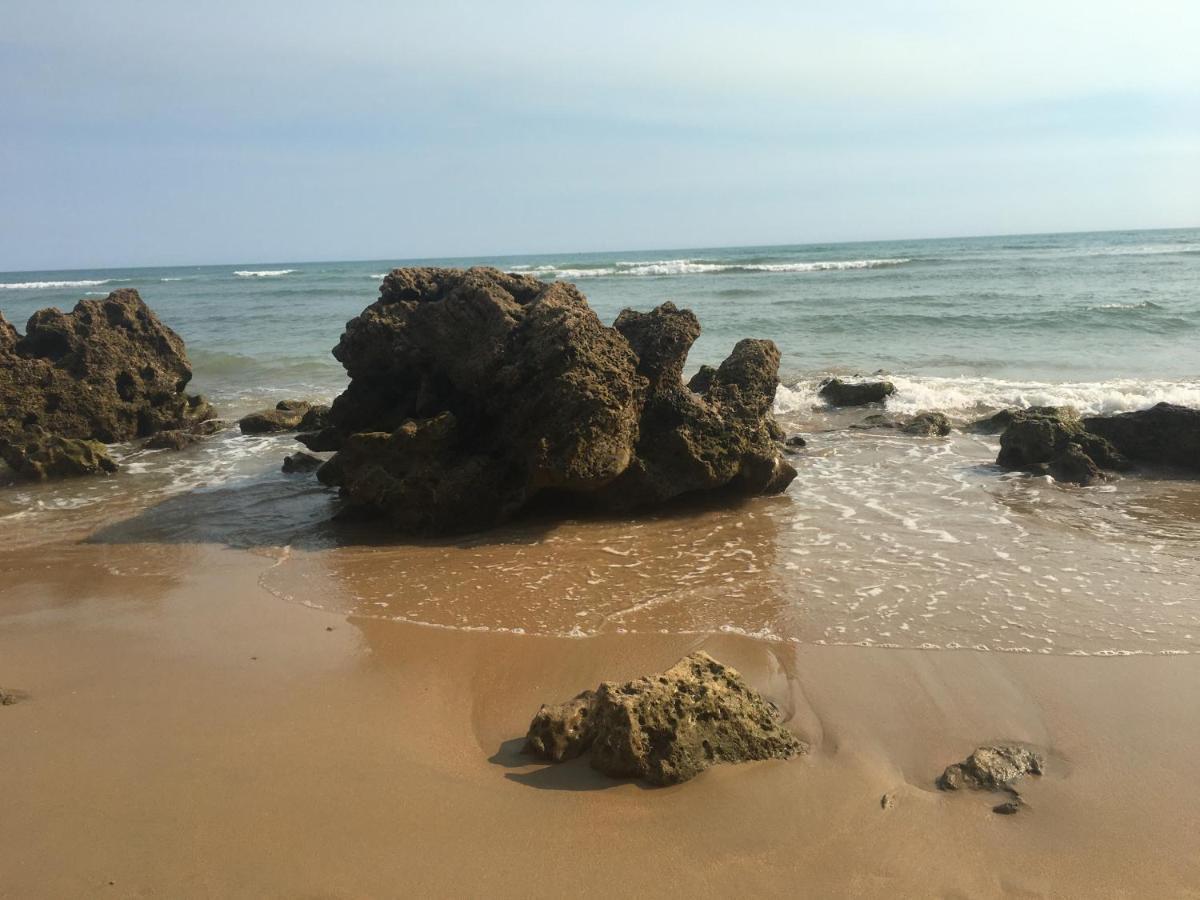 Villa Anyway Conil Un Lujo Frente Al Mar كونيل ذي لا فرونتيرا المظهر الخارجي الصورة